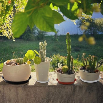 Sada 6 podšálok do kvetináčov, plastové podšálky pre izbové aj vonkajšie rastliny - 26 cm/biela
