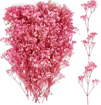 Gypsophila 100 kusov sušených kvetov, Gypsophila, ružové,…