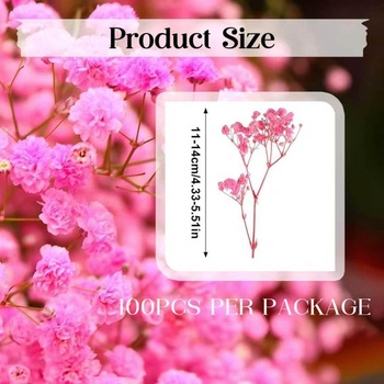 Gypsophila 100 kusov sušených kvetov, Gypsophila, ružové, mini kvety, sušené, prírodné, s