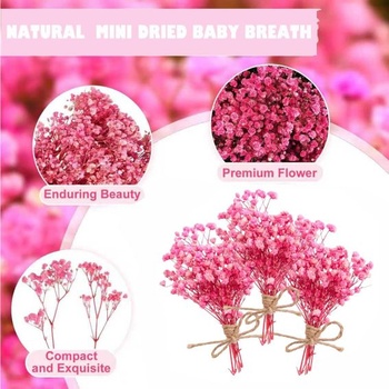 Gypsophila 100 kusov sušených kvetov, Gypsophila, ružové, mini kvety, sušené, prírodné, s