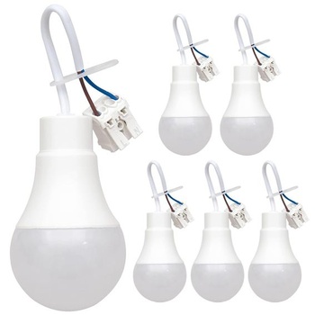 LED žiarovka FEILEMAN 6 ks