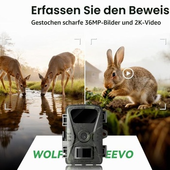 Fotopast Wolfeevo s nočním viděním, 36 MP 2K