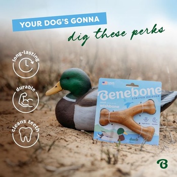 Žuvacia hračka Benebone Wishbone pre agresívne žuvače, kačica, veľkosť M, hnedá, stredná