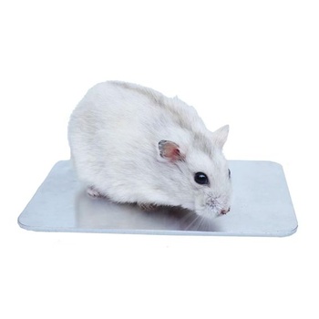 Chladiaci tanier pre škrečka 12 cm x 8 cm, nevyhnutný doplnok pre letnú škrečkovú klietku. 12 cm x 8 cm