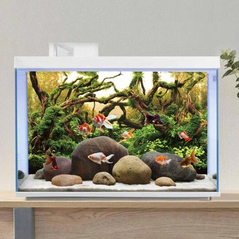 Akvarijní pozadí s větvemi 180x61cm, akvarijní pozadí s vodními rostlinami, říčním a jezerním
