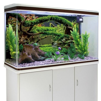 120x50cm pozadí do akvária s větvemi, pozadí do terária, vodní rostlina, koryto řeky a jezero,