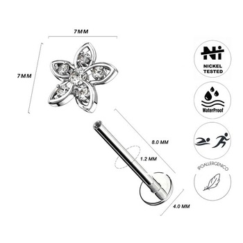 Náušnice AWAKEN Flap s motivem zvířecích borchies a krystaly chrupavka/šroubovice/tragus z