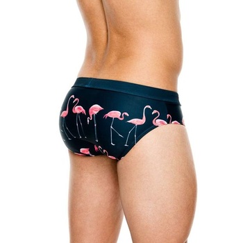 Nové sexy pánske plavky s nízkym pásom, brazílsky strih, športové surfové pánske boxerky, veľkosť