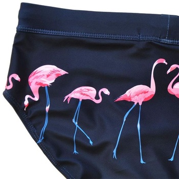 Nové sexy pánske plavky s nízkym pásom, brazílsky strih, športové surfové pánske boxerky, veľkosť