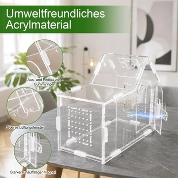Akrylový terárium pre skákavé pavúky, priehľadné terárium pre skákavé pavúky