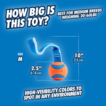 Chuckit Ultra Tug Dog Toy 6 cm Velikost M