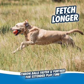 Chuckit Ultra Tug Dog Toy 6 cm Velikost M