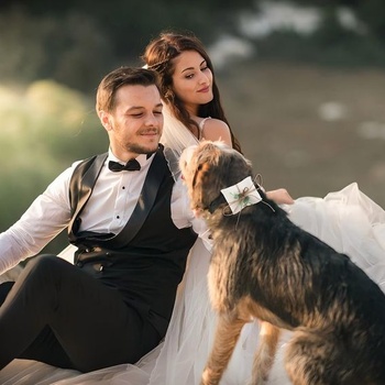 Polštářek na snubní prsteny pro psy, úložný prostor pro párové prsteny pro zásnuby, žádost o ruku,