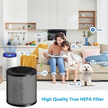 2 náhradní filtry pro čističku vzduchu COWAY Airmega 50 H13 True HEPA filtr