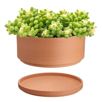 Terakotové kvetináče SUMTree, priemer 25,4 cm