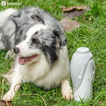 LumoLeaf izolovaná nerezová láhev na vodu pro psy, 800 ml – Udrží vodu studenou nebo teplou po celé