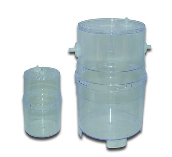 Škatuľka pre šťastie s plazy XL 19 x 11 cm