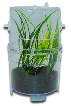 Škatuľka pre šťastie s plazy XL 19 x 11 cm