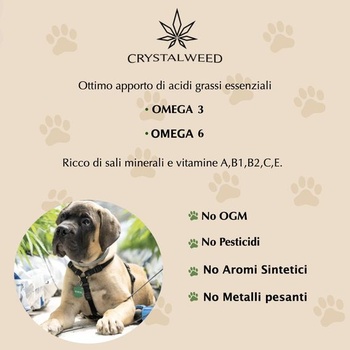Olej pre psov, mačky a domácich miláčikov, upokojujúci olej na vonkajšie použitie - Pet 5