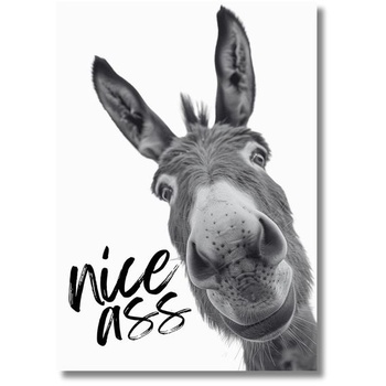 Plagát Casapixo Donkey Nice Ass A3 | 29,7 cm x 42 cm | Nástenné umenie bez rámu | Obrazy do