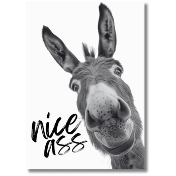 Plakát Casapixo Donkey Nice Ass A3 | 29,7 cm x 42 cm |…