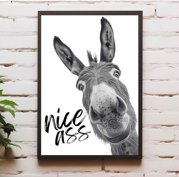 Plakát Casapixo Donkey Nice Ass A3 | 29,7 cm x 42 cm | Nástěnné umění bez rámu | Obrazy do