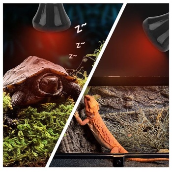 Fdit Mini infračervená tepelná lampa s keramickou tepelnou lampou pre obojživelníky, keramická
