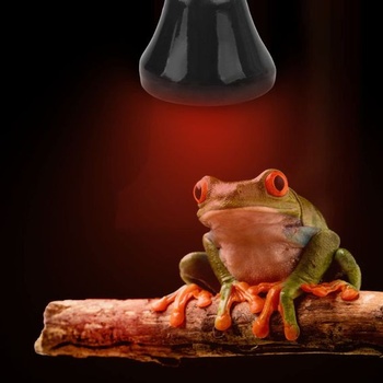 Fdit Mini infračervená tepelná lampa s keramickou tepelnou lampou pre obojživelníky, keramická