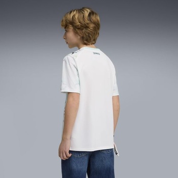 PUMA Chlapčenský dres Rakúsko Replika Jr 2026 Tričko 164 Puma Bielo-mätovo melt