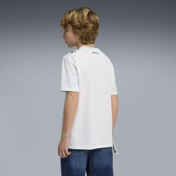 PUMA Chlapecký dres Rakousko Replika Jr 2026 Tričko 164 Puma Bílo-mátově melt