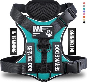 Postroj pre psa Demigreat DG005-Turquoise-XS