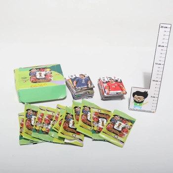 Zberateľské karty Panini FIFA MS