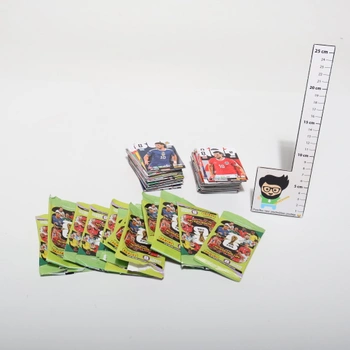 Zberateľské karty Panini FIFA MS