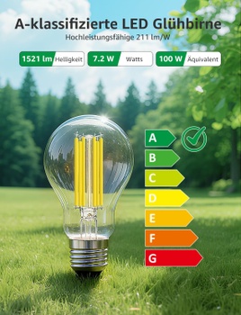 LED žiarovky Lepro 100094-WW-EU-4