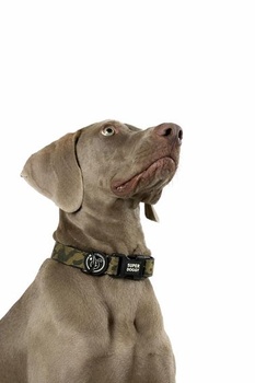 SUPER DOGGY obojok pre malých, stredných a veľkých psov – nastaviteľný a polstrovaný nylonový obojok – na