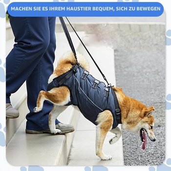 Postroj pre psov, postroj pre psov a rehabilitáciu, nastaviteľný priedušný popruh pre staré psy,