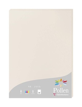 Clairefontaine 24268C - Balenie 25 kariet, peľ, 210 g, DIN A4, 21 x 29,7 cm, šedá.