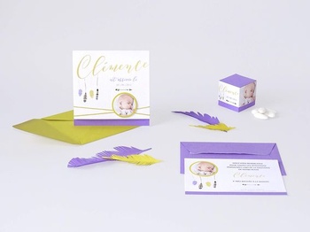 Clairefontaine 24268C - Balenie 25 kariet, peľ, 210 g, DIN A4, 21 x 29,7 cm, šedá.