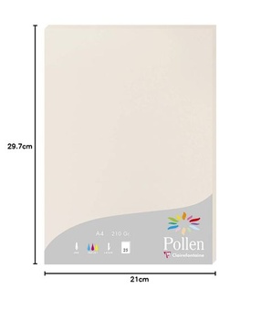 Clairefontaine 24268C - Balenie 25 kariet, peľ, 210 g, DIN A4, 21 x 29,7 cm, šedá.