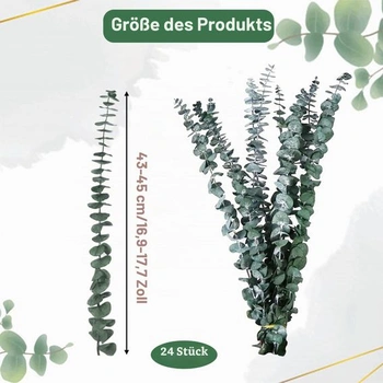 24 kusov sušeného eukalyptu, 43 cm+, dekorácia zo zeleného eukalyptu
