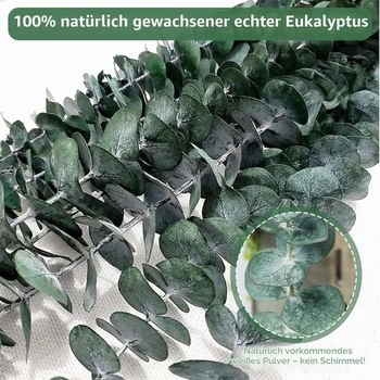24 kusov sušeného eukalyptu, 43 cm+, dekorácia zo zeleného eukalyptu