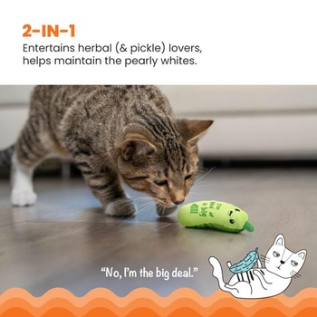 CatstagesCrunchy Pickle Kicker Green