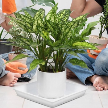TIDTALEO 2 kusy štvorcových plastových podšálok 25 cm, biele, hrubostenné, do kvetináčov a misiek na