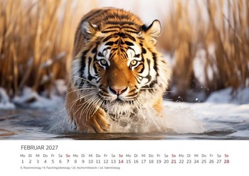 Edícia Seidel Premium Kalendár Fascination Tiger 2027 Formát DIN A4 Nástenný kalendár Zvierací