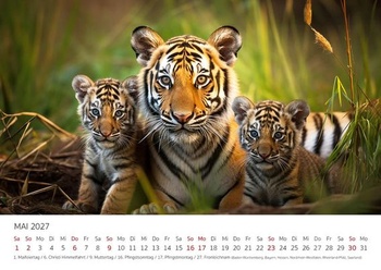 Edícia Seidel Premium Kalendár Fascination Tiger 2027 Formát DIN A4 Nástenný kalendár Zvierací