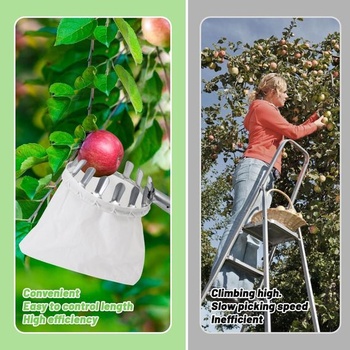 Sběrač ovoce 4,2 m s teleskopickou rukojetí, sběrač ovoce na třešně (průměr 16 cm), sběrač jablek s