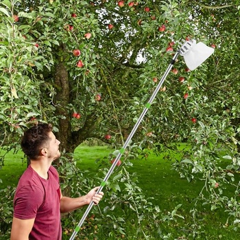 Sběrač ovoce 4,2 m s teleskopickou rukojetí, sběrač ovoce na třešně (průměr 16 cm), sběrač jablek s