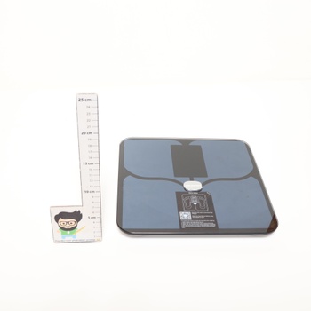 Osobní váha Microlife 100067
