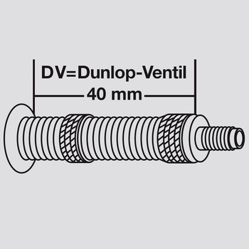 Široká duša na bicykel Fischer v 20 palcoch | Štandard ETRO: 40/57-406 | Ventil Dunlop, ventil pre