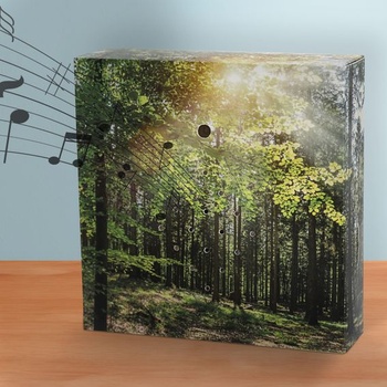 Soundbox 4 kusy s pohybovým senzorem | 12x12x3,5 cm karton/plast | Meditační zvuky, vlny, zpěv